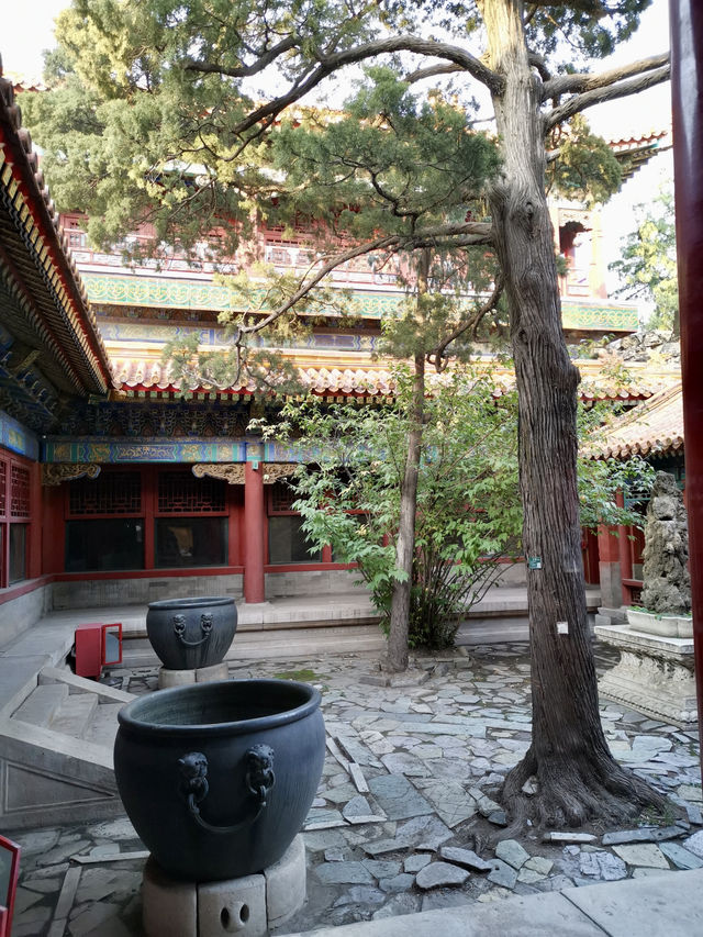 Autumn in the Forbidden City: A Journey Through History and Beauty 