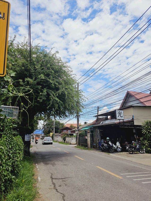 태국 치앙마이 여행