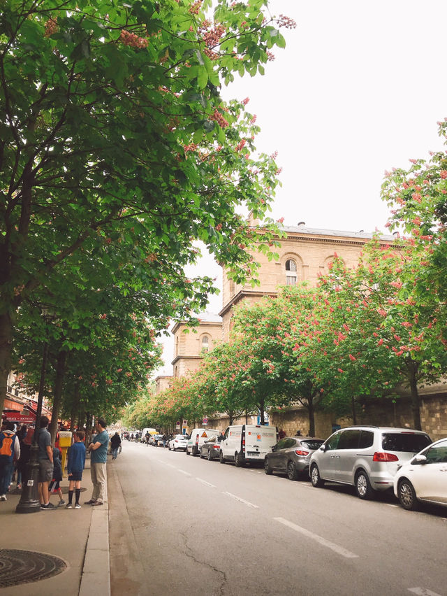 What's to expect in Paris in spring? One word: colorful.