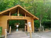 【ニングルテラス:北海道富良野市】緑が美しい森の中のログハウス♪