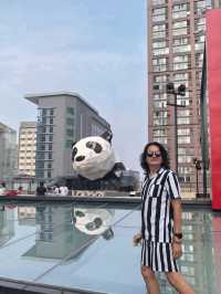 Secret Panda Photo Spot in Chengdu