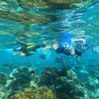 Snorkeling Adventure at Bali's Blue Lagoon: A Marine Wonderland