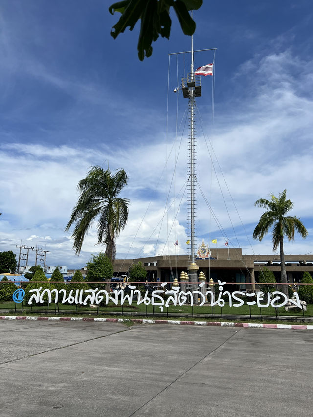 สถานแสดงพันธุ์สัตว์น้ำระยอง