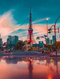 the beautiful charm of the city of Tokyo