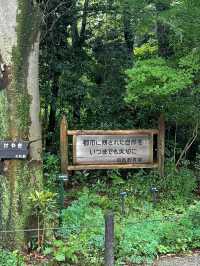 東京都庭園美術館：藝術與歷史交織的綠洲🏛️🌿