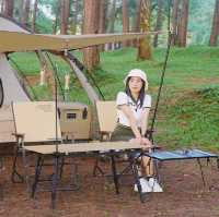 ภูหินร่องกล้า - ลานกางเต็นท์กลางป่าสน