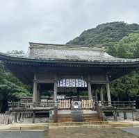 鹿兒島仙巖園神秘探險遊記🤩🥳