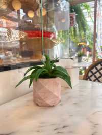  💖 Kati Thai dessert cafe pattaya