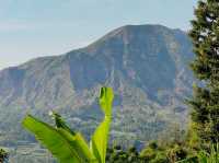 Jungle Camping Kintamani