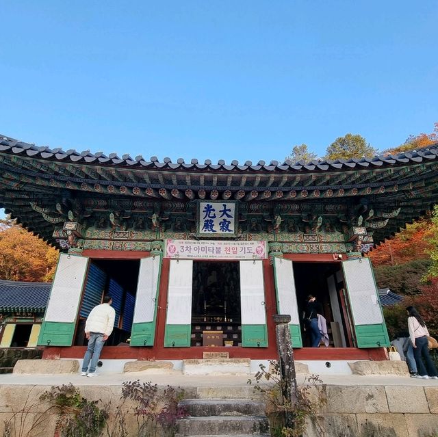 단풍구경도하고 보물가득한 수타사도 보러 홍천가자