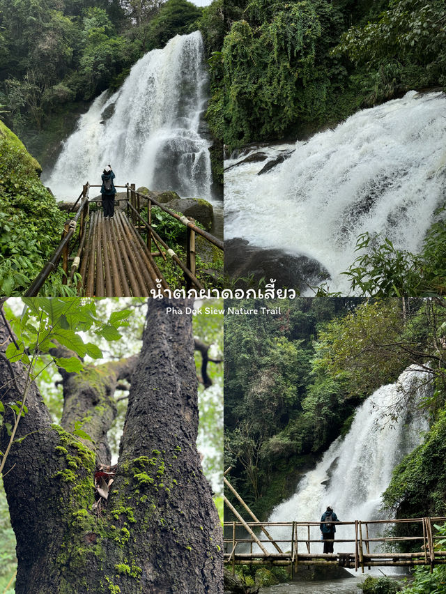 8 พิกัดเที่ยวดอยอินทนนท์ 2 วัน 1 คืน ⛰️🌿🌳🌤️🏕️
