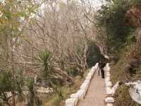 Phousi Hill พระธาตุพูสี จุดชมวิวหลวงพระบาง ลาว