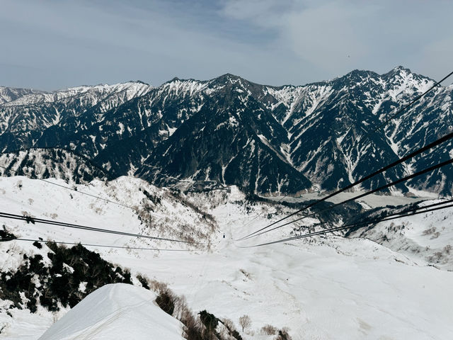 探訪立山黑部：壯麗的雪山觀光之旅 🏔️🌸