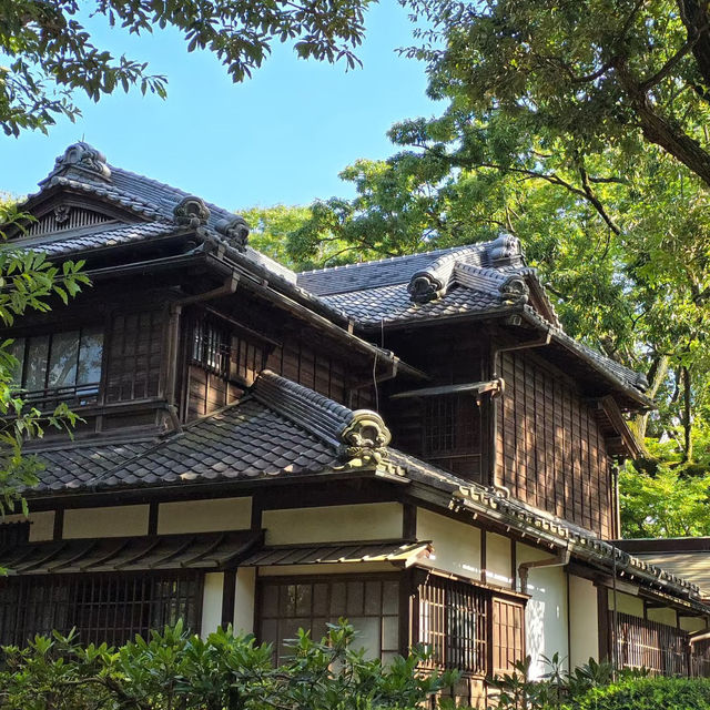 ～ 法善寺橫丁～漫步江戶風情的歷史街道～