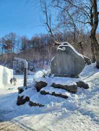 겨울시즌의 대미를 장식하는 태백눈꽃축제❄️
