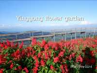 Yingyong flower garden