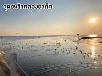 จุดชมวิวคลองตาก๊ก จ.สมุทรปราการ