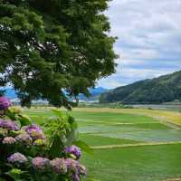 Genbudo Park: A Natural Wonder in Hyogo Prefecture, Japan