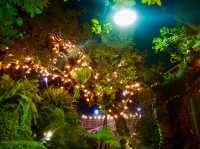 เดินลั้นลา ที่ชิลวามาร์เก็ต