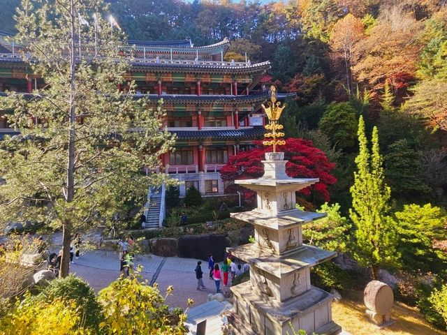 Fall season at the biggest temple in Korea, Guinsa Temple