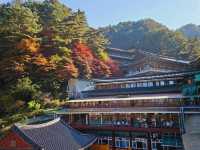 Fall season at the biggest temple in Korea, Guinsa Temple