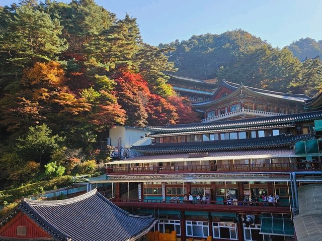 Fall season at the biggest temple in Korea, Guinsa Temple