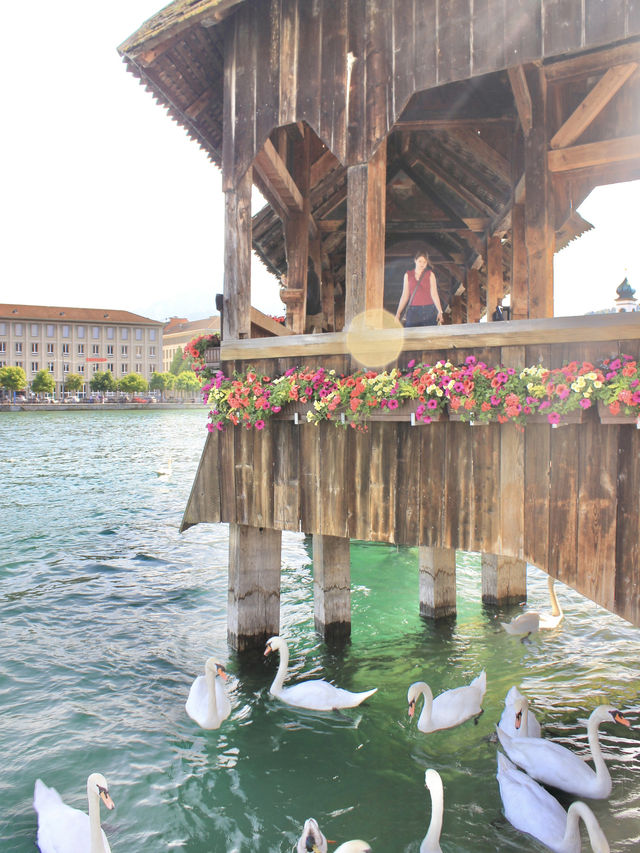 Chapel Bridge: Lucerne's Historic Gem of Beauty and Grace