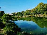 【東京×清澄庭園】亀の日向ぼっこと落ち着く庭園のひととき