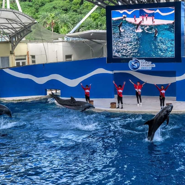 遠雄海洋公園