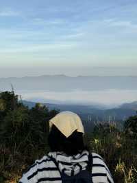 เช้าฤดูหนาวที่ดอยขุนตาล | จ.ลำพูน ⛰️🌿💫🏕️
