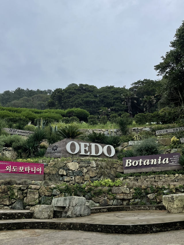 해외 분위기 물씬나는 섬, 외도 보타니아🏝️