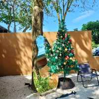 Sicha Cafe คาเฟ่ในบรรยากาศคริสต์มาส