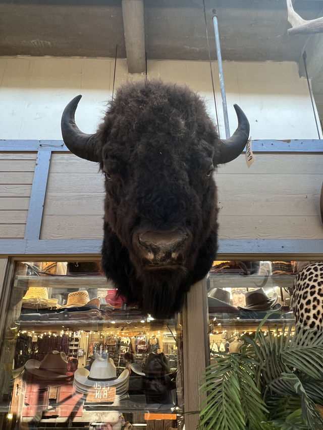 ［沃斯堡旅遊］Stockyards Station-你不想錯過的牛仔小鎮🤠