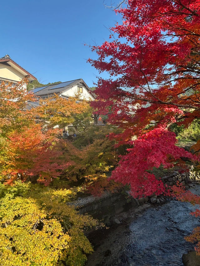 福岡歷史聖地全攻略🥰超推薦❤️