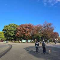 Ueno Park2024