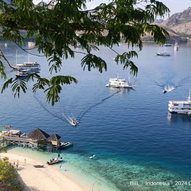 hopping & hopping & hopping 