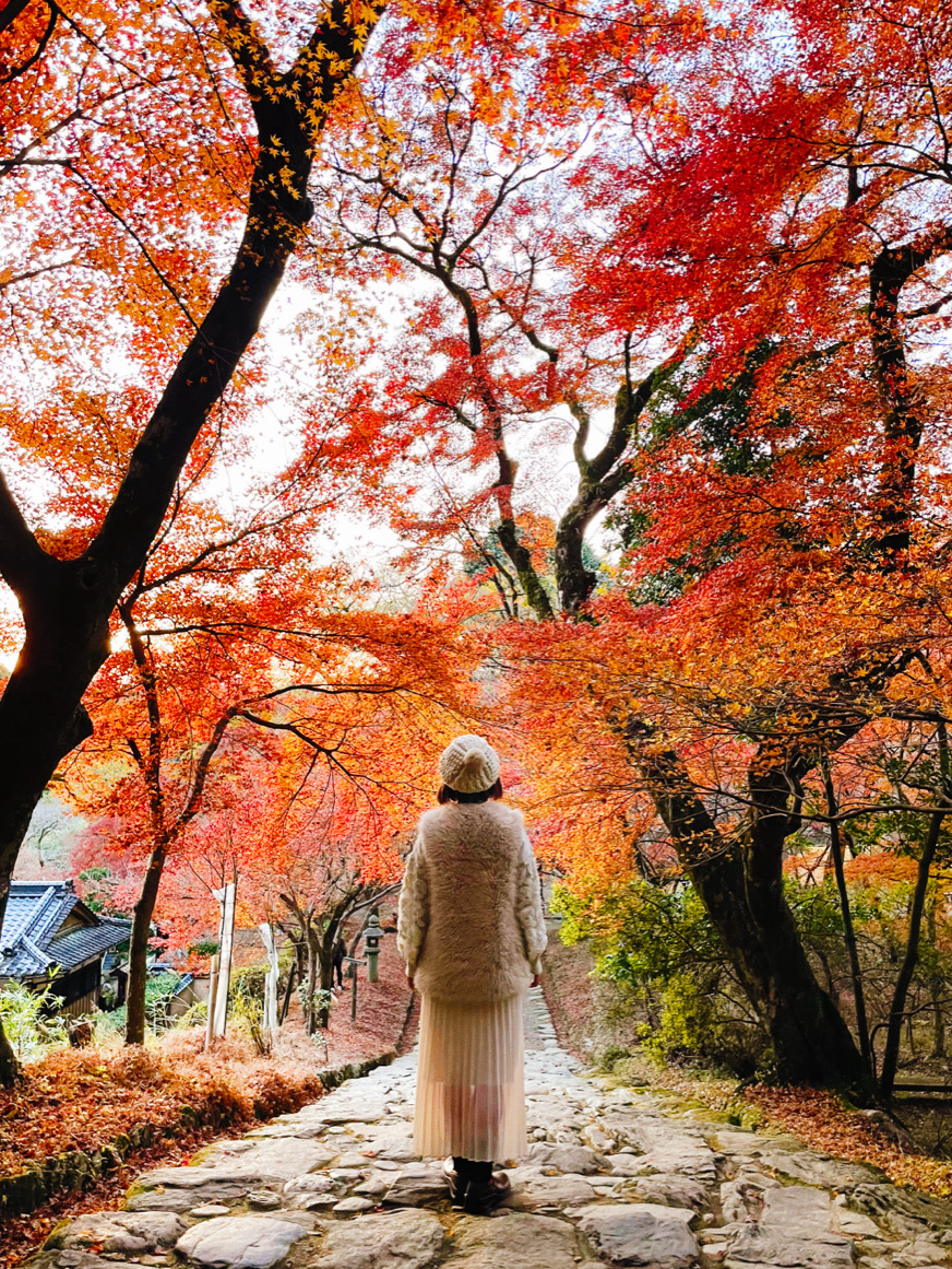 1mi6z224x8xzcmy1mE7AC.jpg?proc