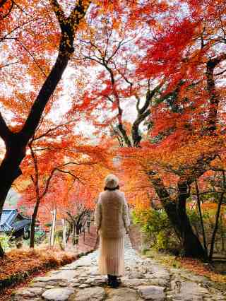 秋の朝 じゅん🍀Jun on X