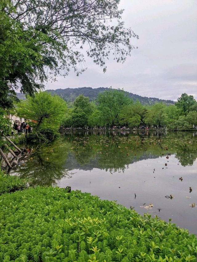 宏村：青山綠水、粉牆黛瓦，宛如山水畫的恬靜古村落。