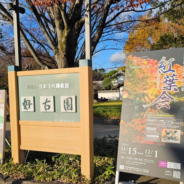 姬路城西御屋敷跡庭園〔好古園〕紅葉絕景  