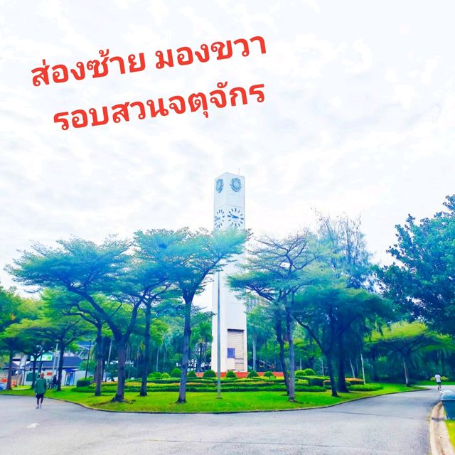 ส่องซ้าย มองขวา รอบสวนจตุจักร