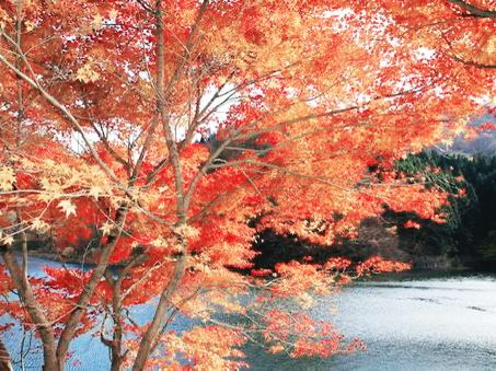 群馬🇯🇵 碓氷湖