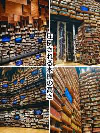【所沢】圧倒された‼️8mの本棚・プロジェクションマッピング✨