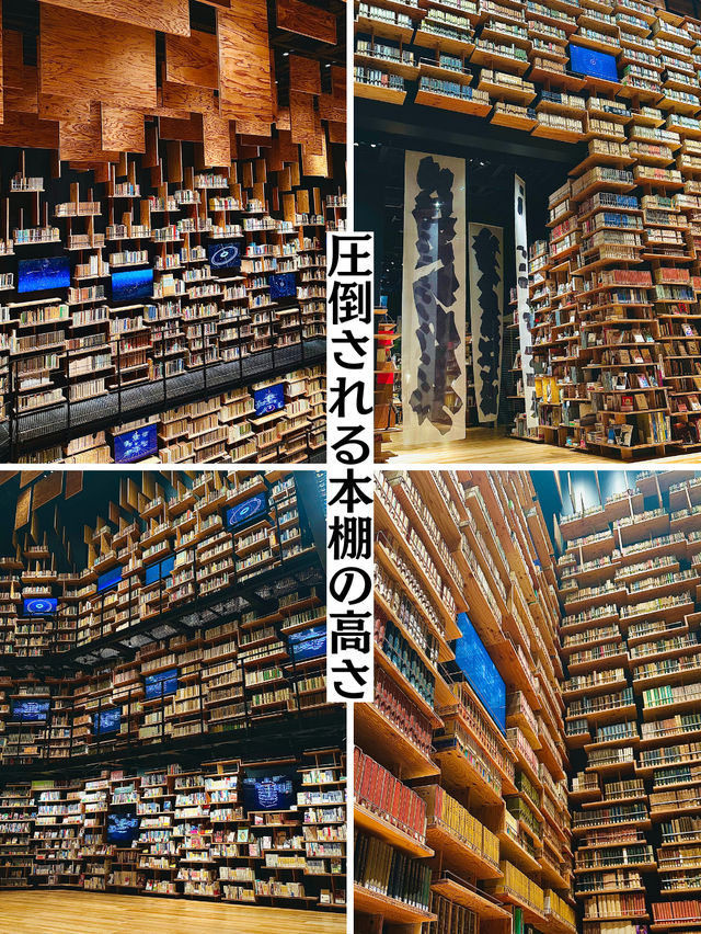 【所沢】圧倒された‼️8mの本棚・プロジェクションマッピング✨