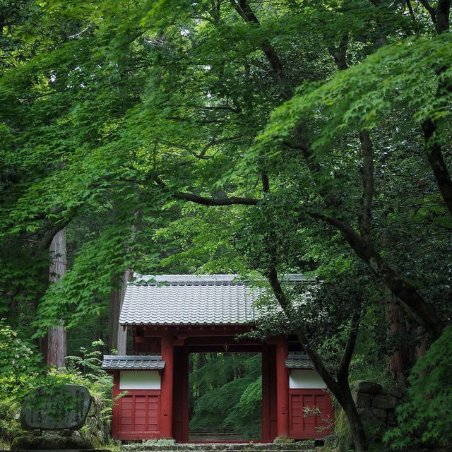 Hyakusai-ji 