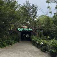 Snoopy Adventure in the Wild- Perfect Weekend Getaway