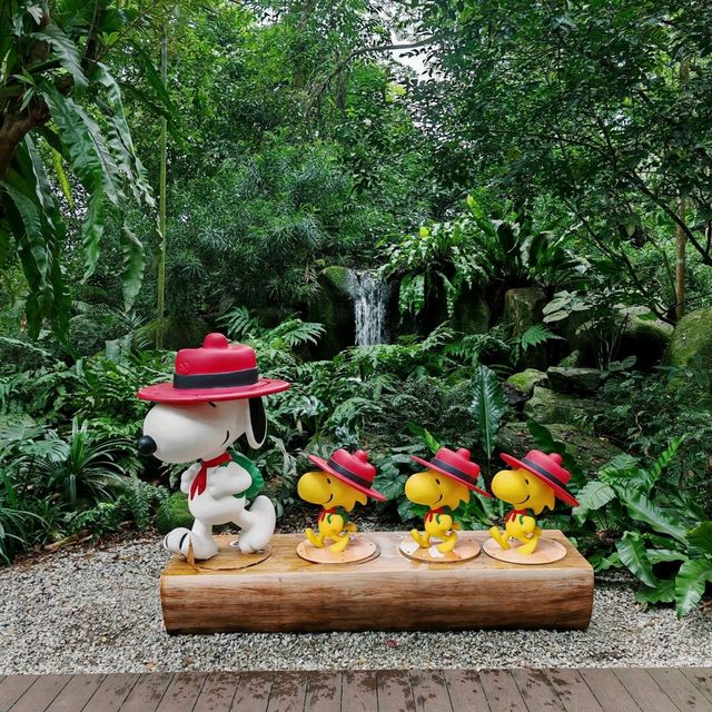 Singapore Zoo and River Wonders - Perfect plan for weekend Getaways