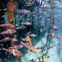 Raja Ampat Islands