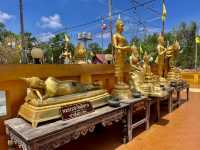 วัดป่าไทรทอง วัดสวยสีทองอร่าม