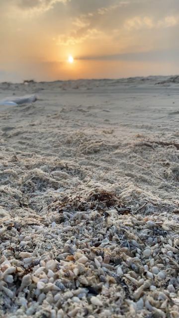 The Stunning Al Shuweihat Island